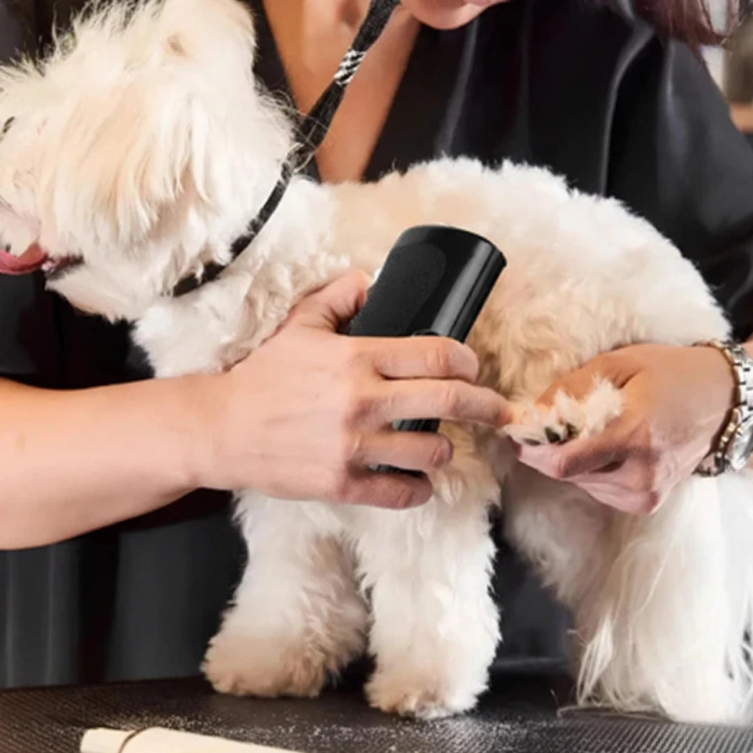 FurEase™ - Brosse de toilettage