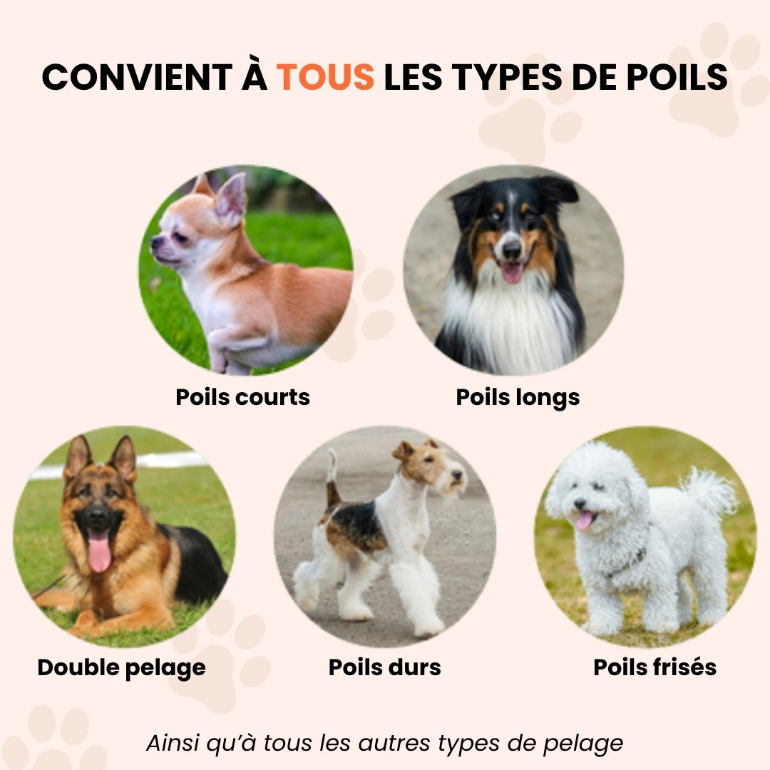 FurEase™ - Brosse de toilettage