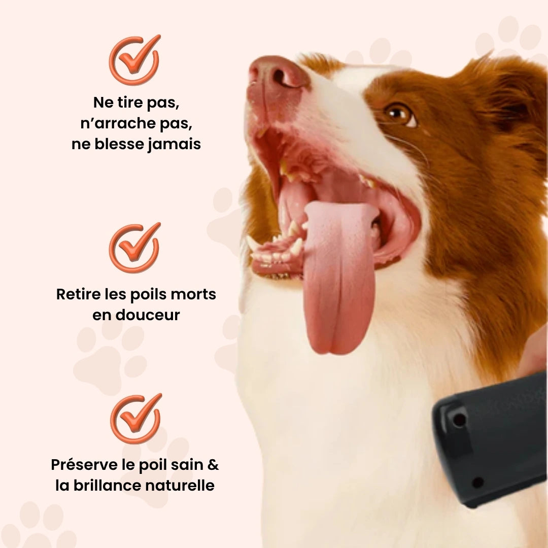 FurEase™ - Brosse de toilettage